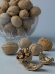 Still-Life1
