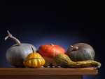 Still-life-Tamborini