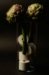 still-life2